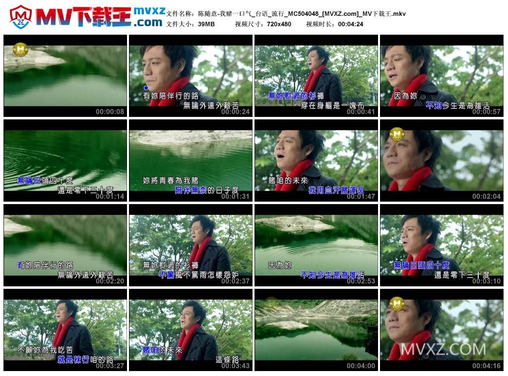 陈随意-我赌一口气_台语_流行_MC504048